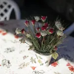 بيت للعطل Podere Montestuccioli كوتيليانو